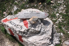 CAREGA2006-1071