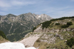 CAREGA2006-1074