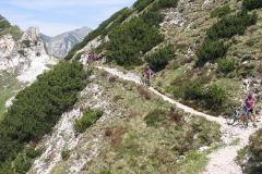 CAREGA2006-1076