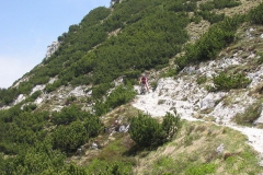 CAREGA2006-1080
