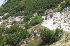 CAREGA2006-1081