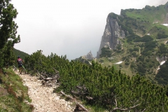 CAREGA2006-1082