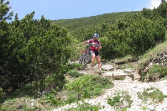 CAREGA2006-1084