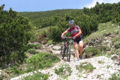 CAREGA2006-1085
