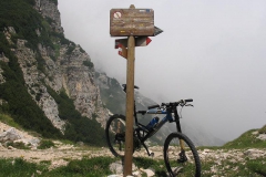 CAREGA2006-1087