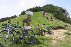 CAREGA2006-1090