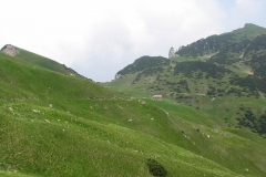 CAREGA2006-1096