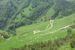 CAREGA2006-1103