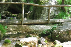 CAREGA2006-1117