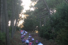 2006-IsolaElba-1032