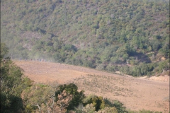 ROCDAZUR2007-1016