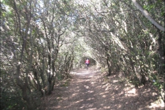2007-San-Vincenzo-1164