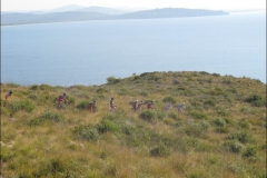 2008-ARGENTARIO-1369
