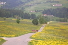 2008-DOBBIACO-1145