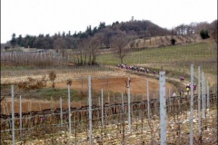 Gemellaggio-1006