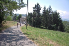 2009-RUNEDA-1004