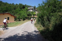 2009-RUNEDA-1006