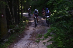 2009-LATEMAR-1002