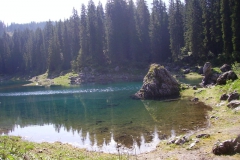 2009-LATEMAR-1008