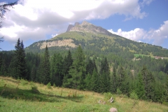 2009-LATEMAR-1031