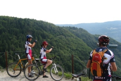 2009-LAVARONE-1002