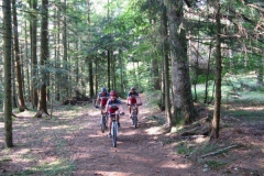2009-LAVARONE-1004
