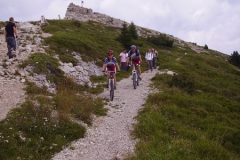 2009-LAVARONE-1023
