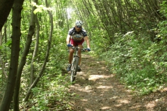 2009-COMUNE-1074