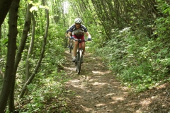 2009-COMUNE-1078