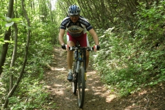 2009-COMUNE-1081