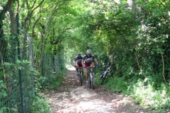 2009-COMUNE-1084