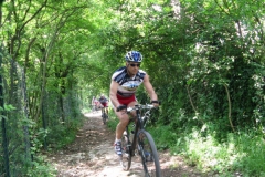 2009-COMUNE-1086