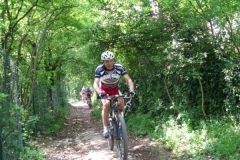 2009-COMUNE-1087