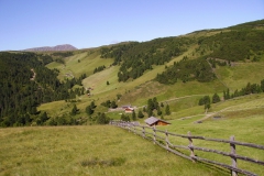 2009-RENON-1004