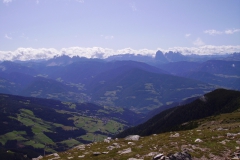 2009-RENON-1005