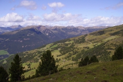 2009-RENON-1013