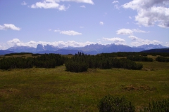 2009-RENON-1019