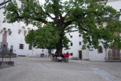 2009-VERONAVIENNA-1017