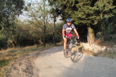 2009-XCBENINI-1001