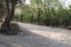 2009-XCBENINI-1002