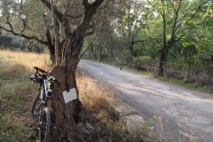 2009-XCBENINI-1003