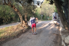 2009-XCBENINI-1004
