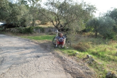 2009-XCBENINI-1009
