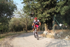 2009-XCBENINI-1011
