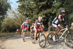 2009-XCBENINI-1015