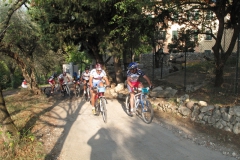 2009-XCBENINI-1016