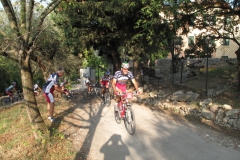 2009-XCBENINI-1018