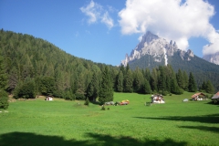 2010-FieraDiPrimiero-1002