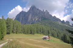 2010-FieraDiPrimiero-1004