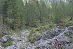 2010-FieraDiPrimiero-1006